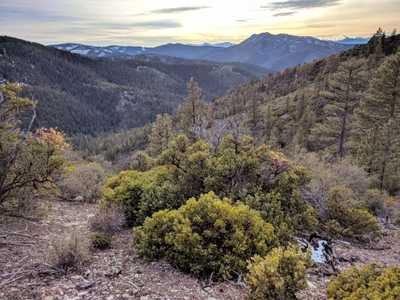 Manzanita Mountain View